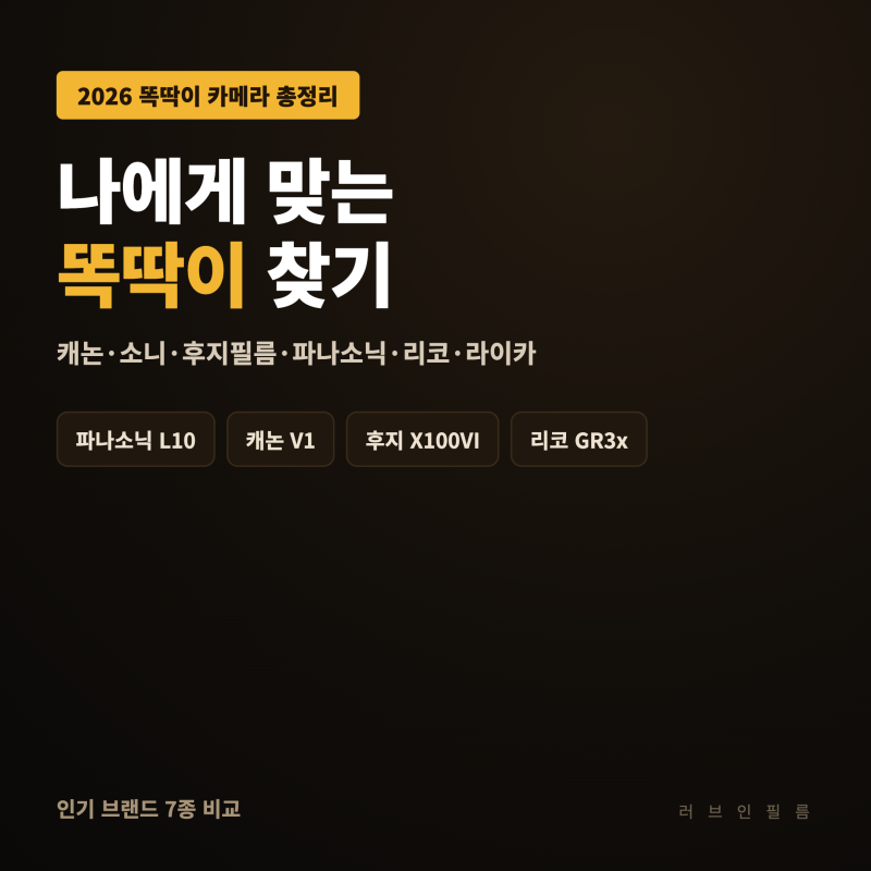 나에게 맞는 똑딱이 카메라 찾기 | 파나소닉 루믹스 L10부터 라이카 D-Lux8까지 인기 브랜드 총....