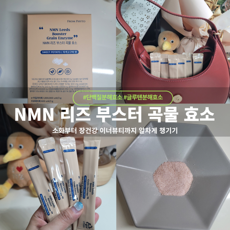 글루텐분해효소 추천 NMN리즈부스터 곡물효소 (국산곡물발효효소 NMN효소 후기)