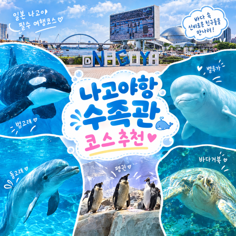 나고야항 수족관 관람 꿀팁 | 국내에 없는 범고래부터 벨루가까지 나고야 필수 코스✨️
