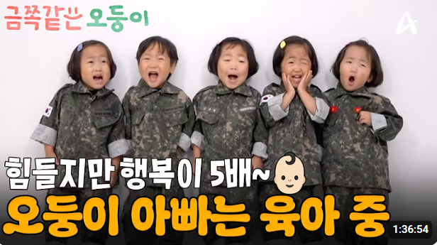금쪽같은 오둥이 5+5 방송시간, 다섯쌍둥이 두 가족과 다태아 임신 주의사항