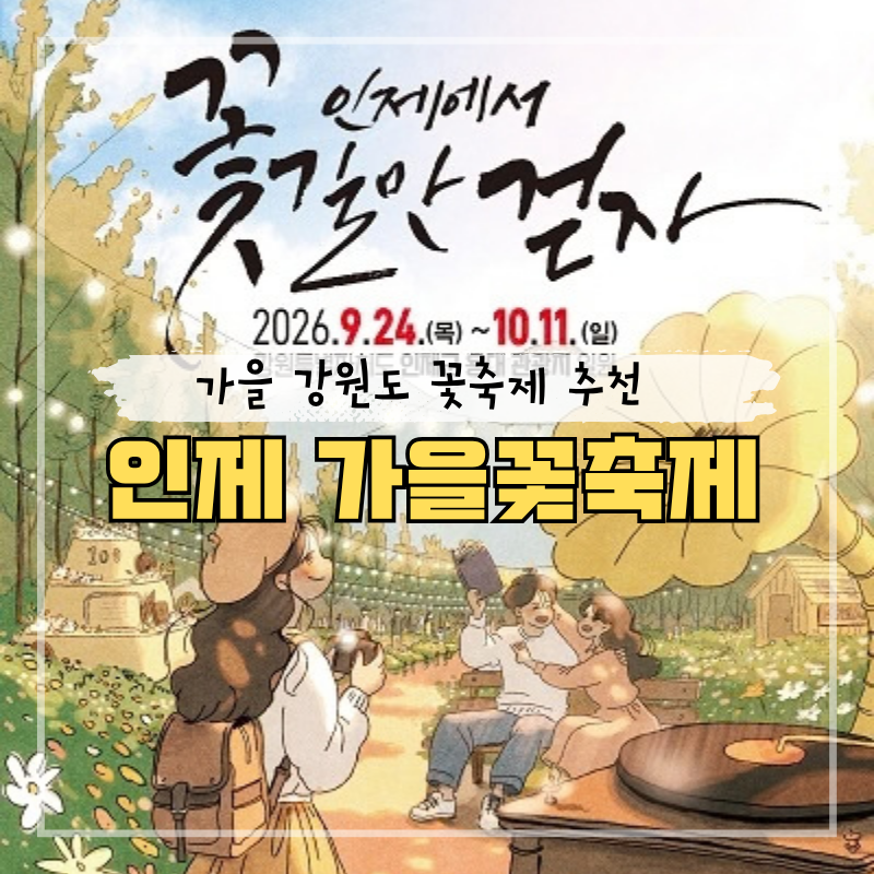2026 인제 가을꽃축제 총정리, 추석연휴 10월 가을 나들이 추천