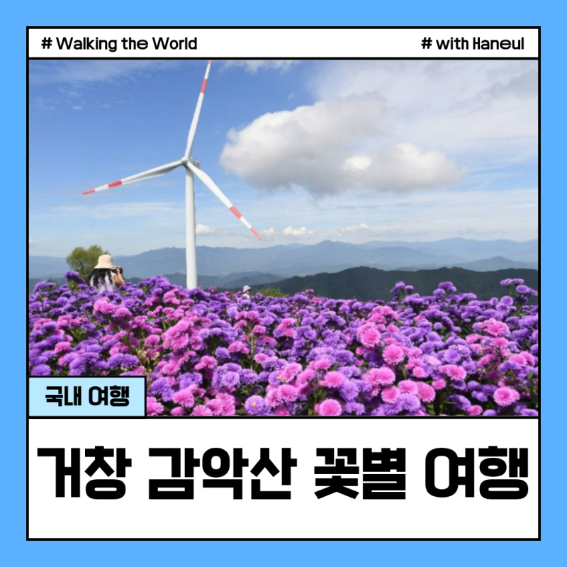 감악산 꽃별여행 예약 못 했다면? 거창 꽃 축제 준비 이 글 하나로 끝