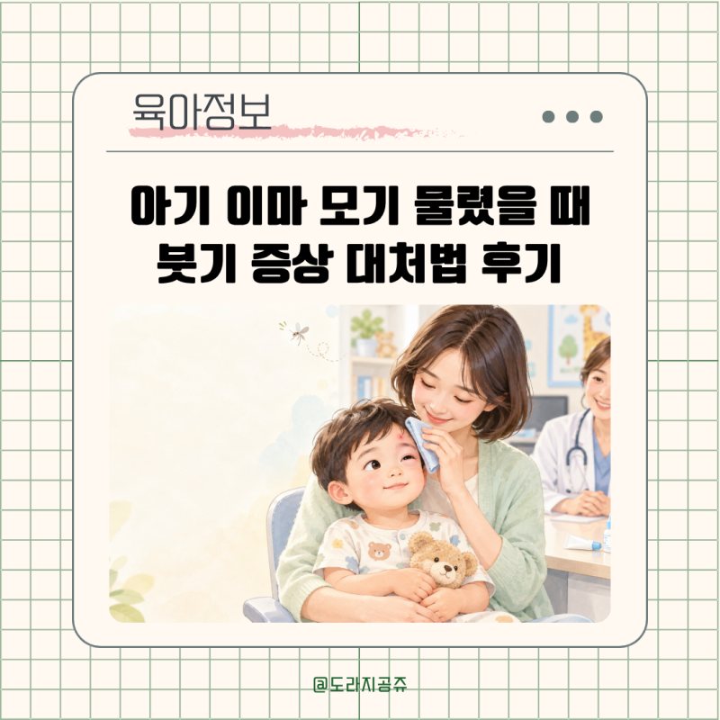 아기 이마 모기 물렸을 때 눈 퉁퉁 부음? 눈 물림 붓기 이유와 병원 진료 후기
