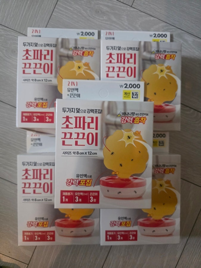 벼룩파리 퇴치 박멸-날파리,초파리 트랩,끈끈이 등 다이소 구매후기