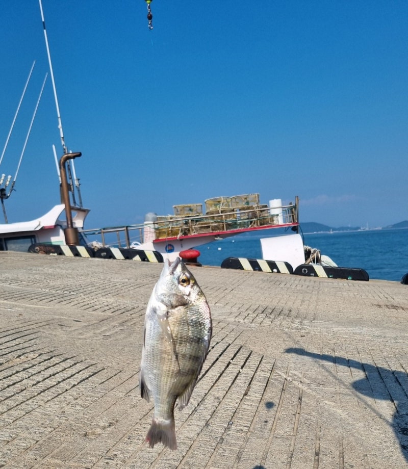 영흥도, 그리고 진두항의 진두선착장, 그리고 영흥회센터를 이제야 제대로 알았습니다,영흥....