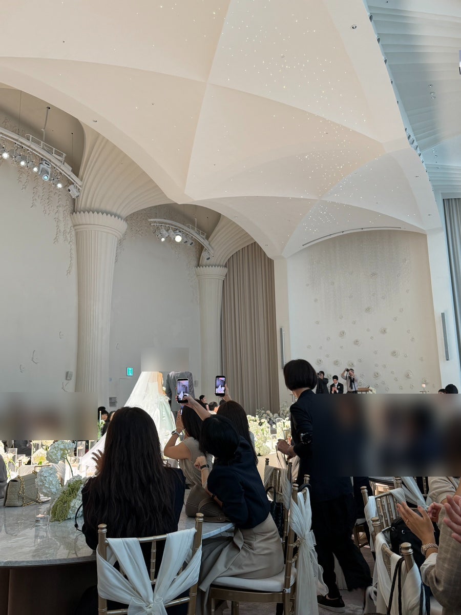 라브르에드니아 사진 5