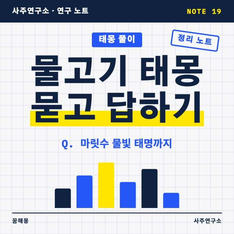 물고기 태몽 문답 열한 가지, 마릿수 물빛 놓친 꿈과 태명까지 답