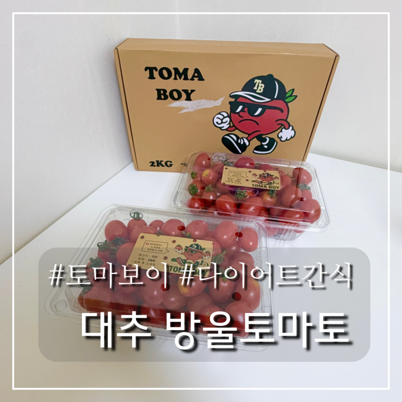 대추방울토마토 2kg 토마보이 | 보관 선물 고랭지 다이어트 간식 추천