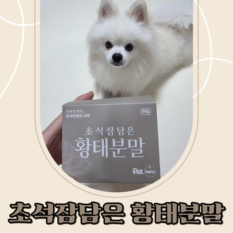 입맛 살리는 강아지수제간식! 펫하루 강아지영양간식 초석잠 강아지황태