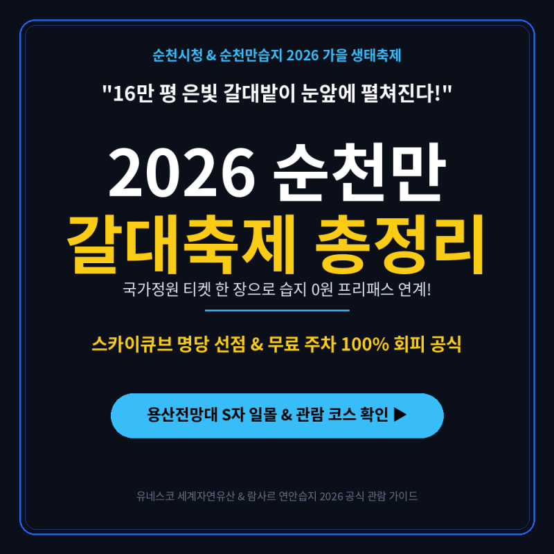 "입장료 0원에 16만 평 은빛 갈대 바다?".. 2026 순천만 갈대축제 일정 및 스카이큐브·무료 주차....