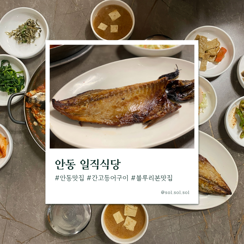 안동 맛집 일직식당 간고등어 구이 조림 테이블링 웨이팅후기