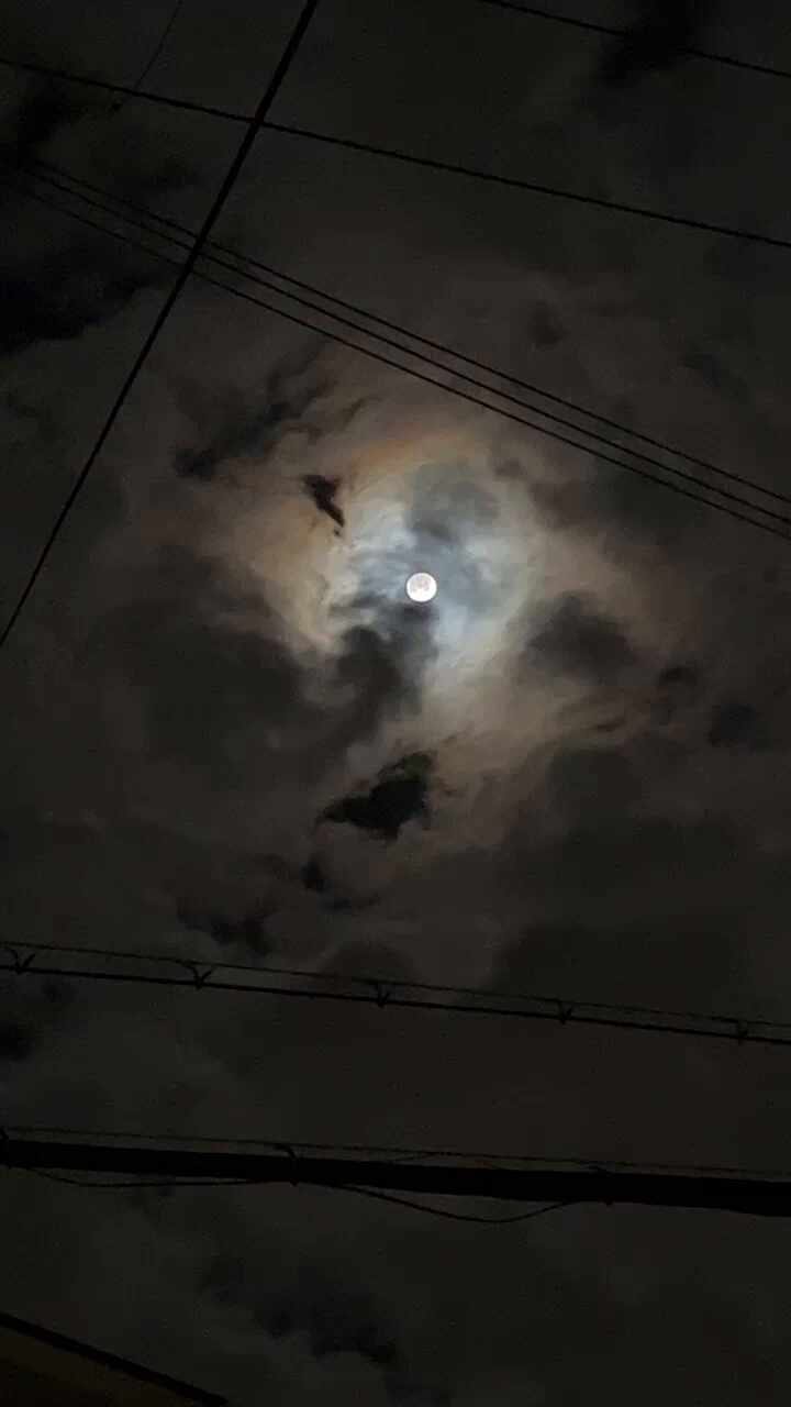 내일 추석 날씨, 보름달 대신 비 온다는데 지역마다 이렇게나 다르더라고요
