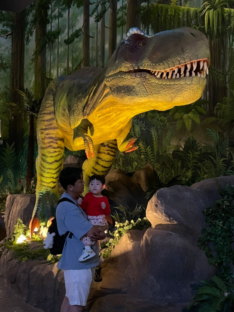 Gyeongnam Goseong Travel: Must-Visit Places, Goseong Dinosaur World Expo Pre-Booking & Accommodation Review