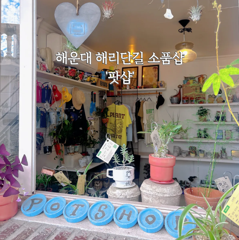 [해운대 가볼만한곳] '팟샵'ㅣ 해운대 해리단길 소품샵, 솔직후기, 부산해운대 가볼만한곳, ....