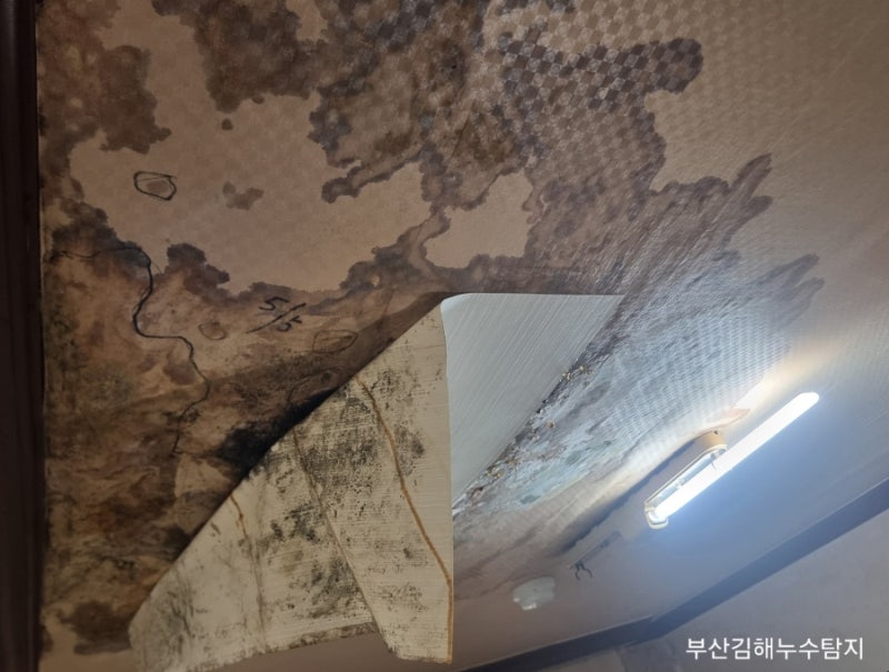 [부산/김해] 아랫집 천장 누수 공사 비용, 일상생활배상책임보험(일배책)으로 해결하는 방법 ....