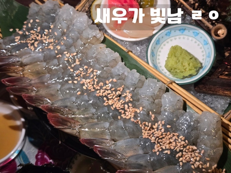 대구 동성로 조개구이 히야｜활새우회부터 꾸덕한 크림짬뽕까지 교동 술집 추천