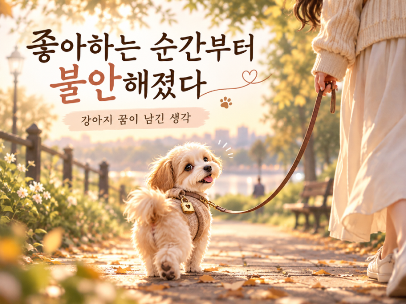 너무 소중해지는 순간, 왜 불안해질까요 강아지 꿈을 꾸고 ‘집착’에 대해 생각하게 됐습니....