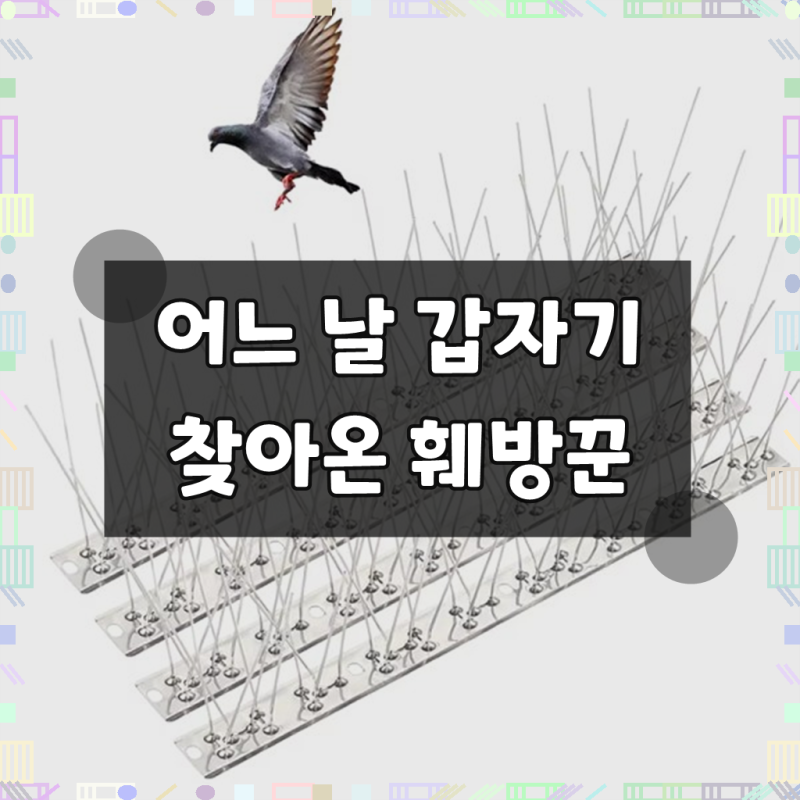 스테인리스 스틸 비둘기 퇴치기 새 퇴치 장치 해충 방지 정원 발코니 가시 못 키트