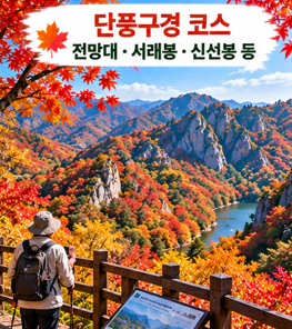 내장산단풍 절정 언제? 2026 내장산단풍시기와 단풍구경 코스