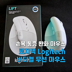 마우스 과사용으로 인한 손목 통증은 로지텍 버티컬 마우스로 해결 | 재구매 사용기