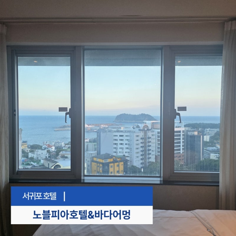 노블피아 호텔 오션뷰 가성비 호텔과 바다어멍 서귀포 아침식사 맛집 추천