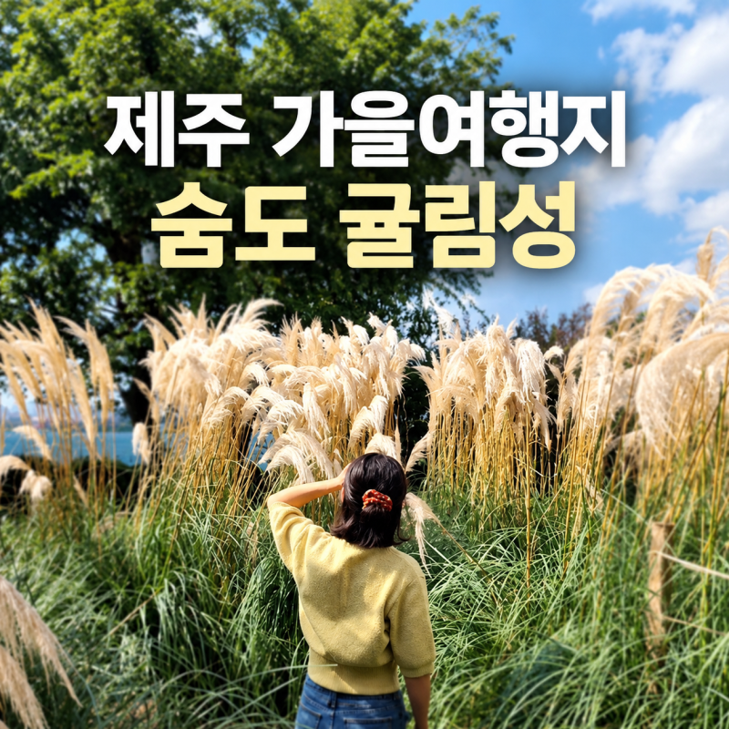 제주 가을 서귀포 여행지 억새를 볼 수 있는 숨도 귤림성