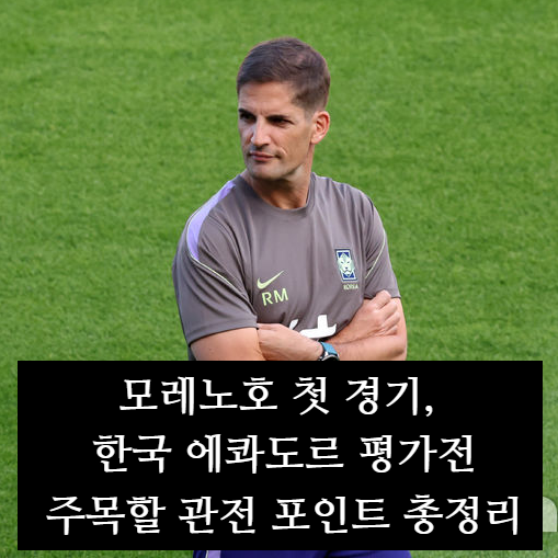 모레노호 첫 경기, 한국 에콰도르 평가전…주목할 관전 포인트 총정리