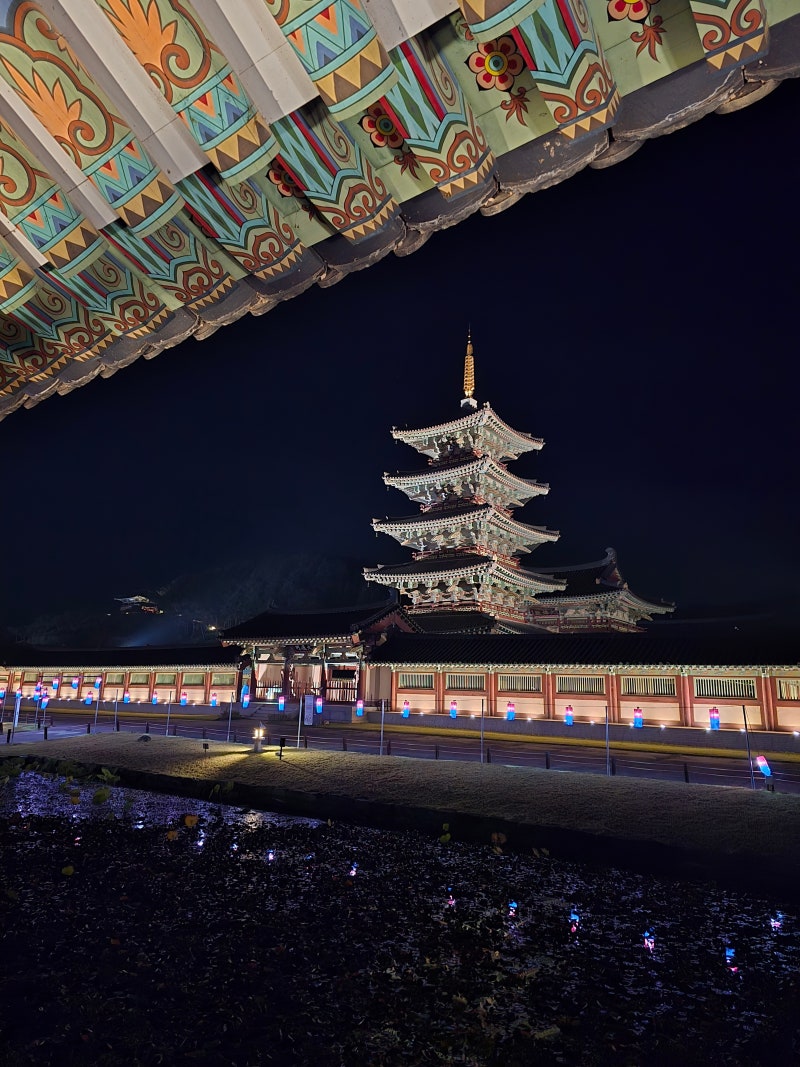 홍성 근교 부여 가볼 만한 곳 '백제문화단지' 야경 산책 솔직후기 (입장료/사비궁/능사/한가....