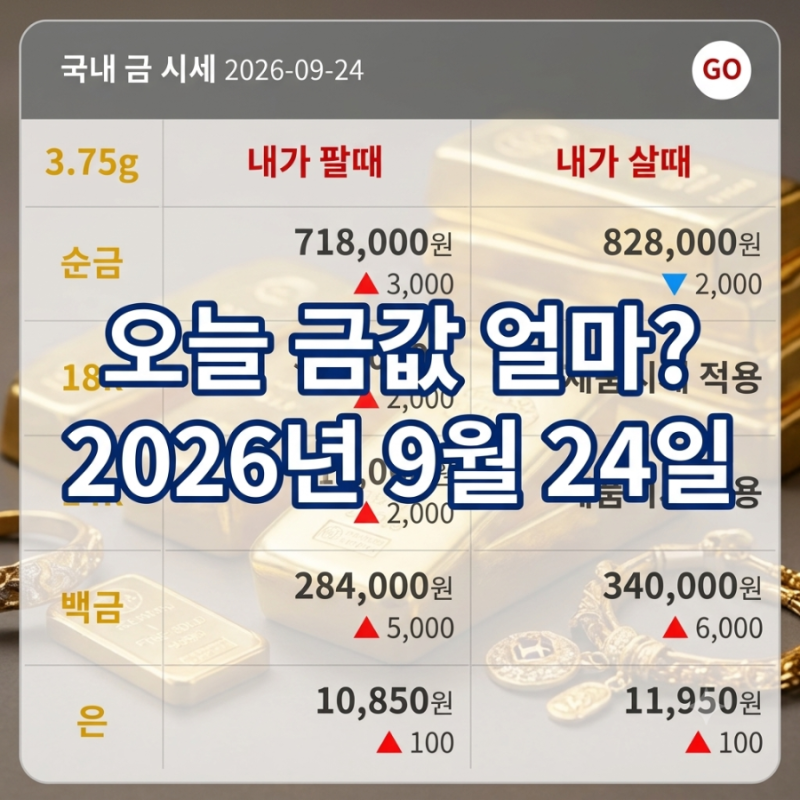오늘 금값 얼마? 9월 24일 순금·18K·14K 금시세 총정리