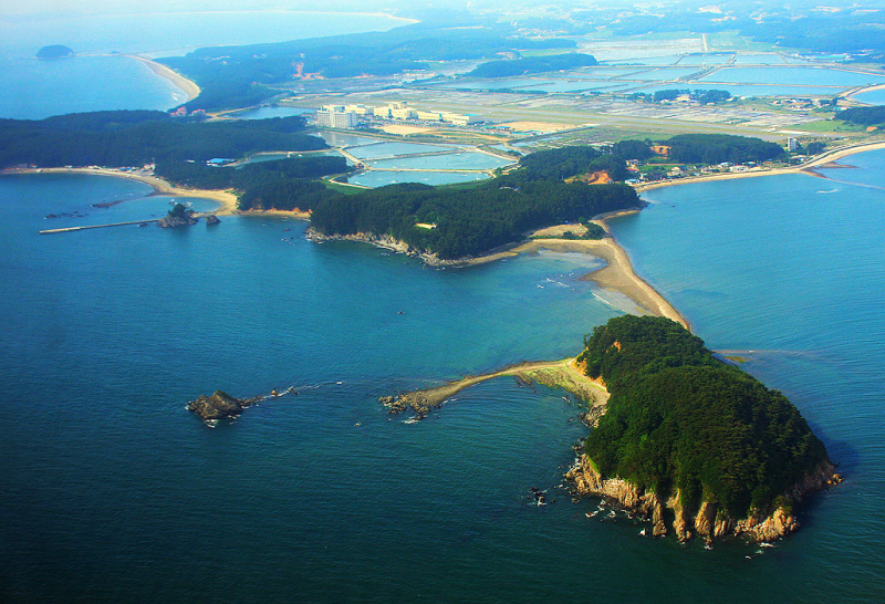 충남 태안 곰섬 해수욕장 캠핑장 해루질 물때 : 바다인 줄 알았던 곳이 알고 보니 육지였다?