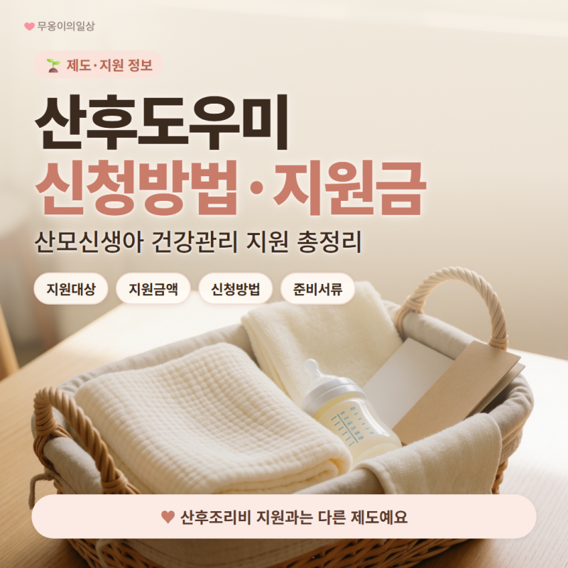 산모신생아 건강관리 지원, 산후도우미 신청방법부터 지원금액까지 총정리