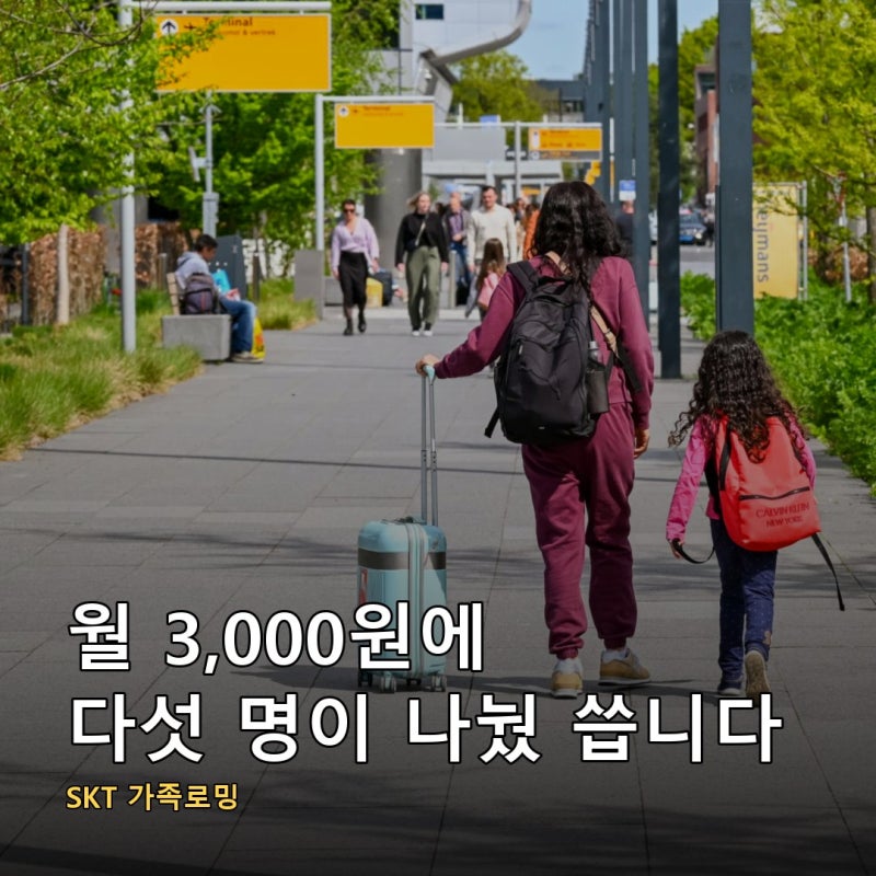 SKT 가족로밍은 월 3,000원에 다섯 명이 나눠 씁니다, 연말까지 6GB 요금제가 8GB로 올라가 있습....