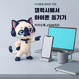 갤럭시에서 아이폰 옮기기, 기기변경 카카오톡 백업까지