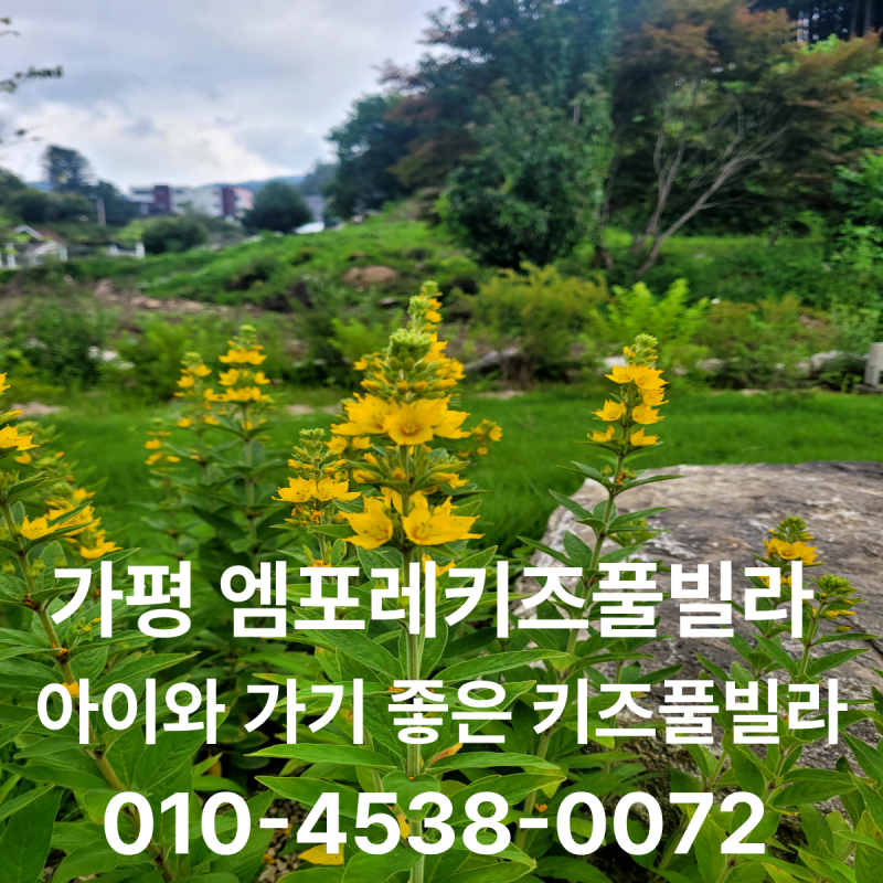 가평 엠포레 키즈풀빌라 아이와 가기 좋은 키즈펜션, 직접 둘러본 모습