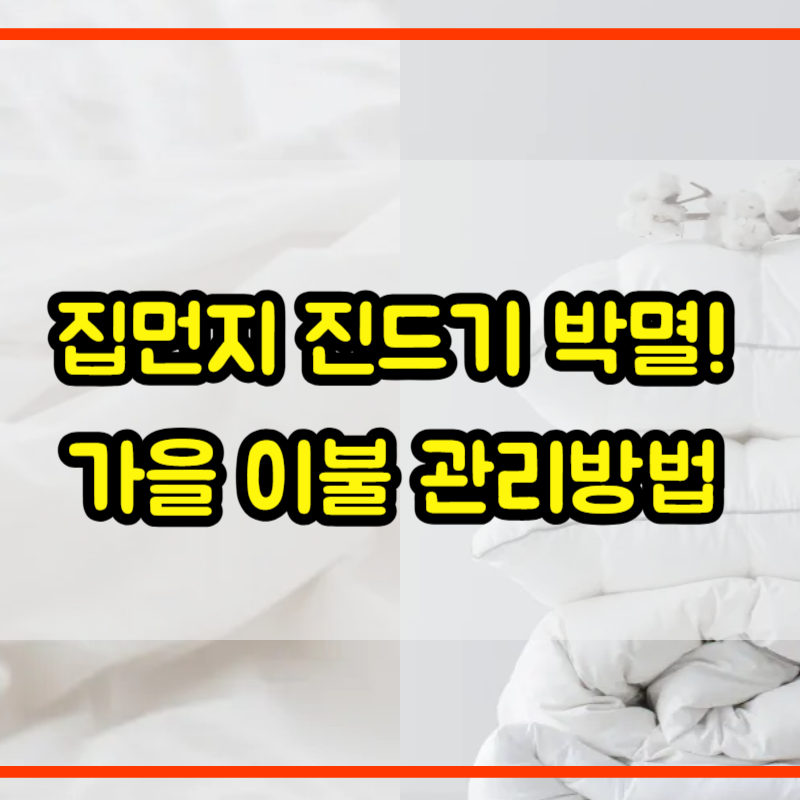 가을 이불 세탁법 및 집먼지진드기 박멸 꿀팁 (환절기 침구 정리)