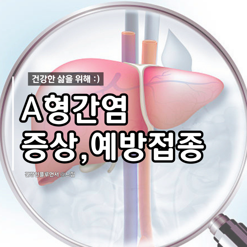 A형간염 증상 원인 치료 항체 예방접종