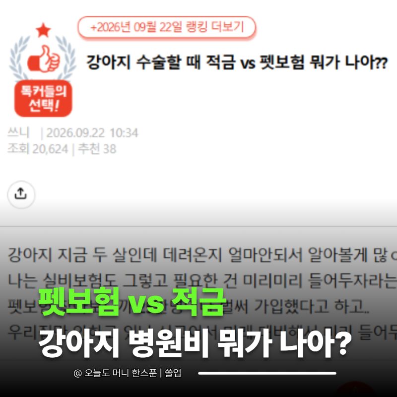강아지 병원비 "보험료 vs 적금" 매달 나가는 돈만 비교하면 안 되는 이유