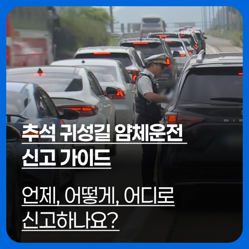 추석 귀성길 얌체운전 신고 가이드, 언제 어떻게 어디로 신고하나요?