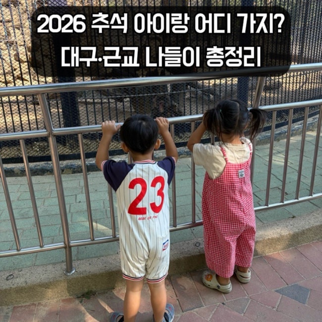 2026 추석 연휴 아이랑 어디 가지? | 대구·대구 근교 가볼 만한 곳 총정리