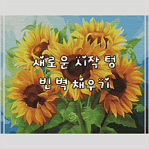 플레이어바웃 DIY 명화 그리기 40x50cm 사용 후기