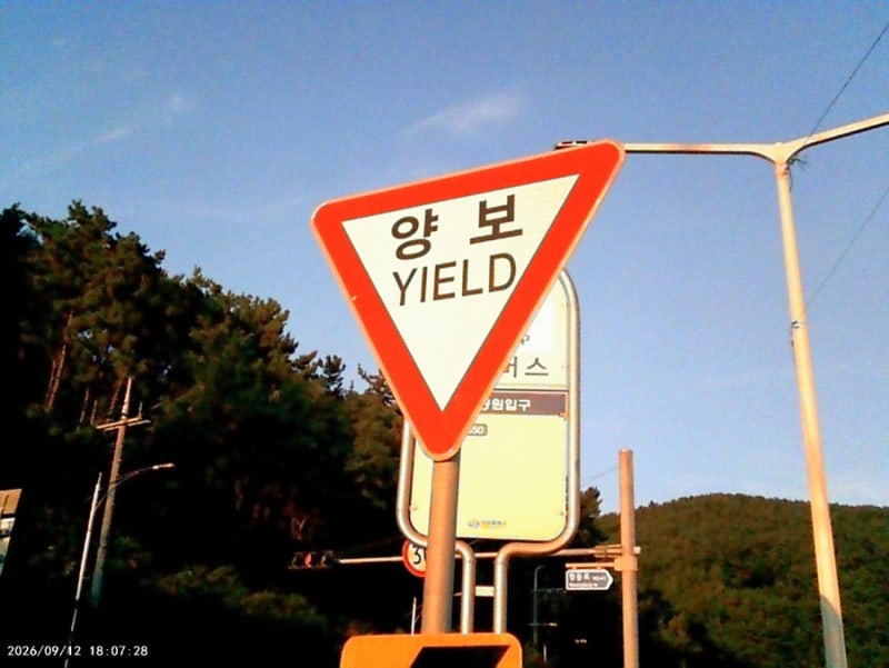 Y2K 빈티지 레트로 부이카메라 폴딩, 감성 사진 동영상 후기