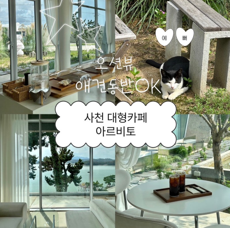경남 사천 대형카페 아르비토｜애견동반 가능한 조용한 오션뷰 카페