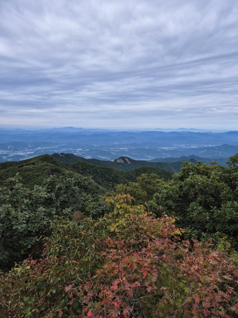 [원주] 치악산 | 황골 ~ 비로봉 등산 코스 초급 최단거리 9월