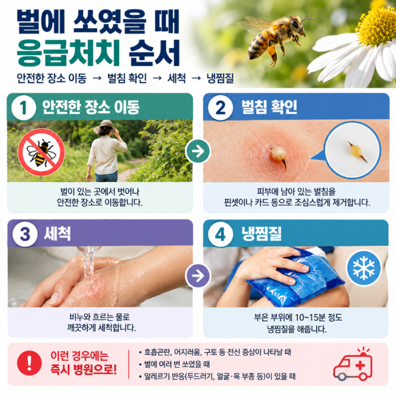 벌에 쏘였을때 어떻게 해야 할까? 벌침 제거부터 붓기, 아나필락시스까지