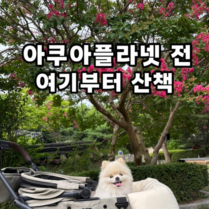 일산호수공원 강아지 산책 | 아쿠아플라넷 일산 방문 전 걷기 좋은 코스