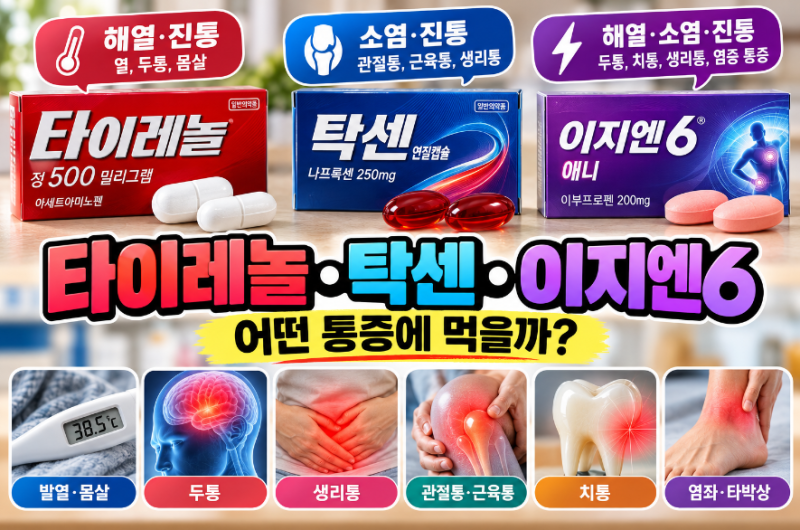 타이레놀·탁센·이지엔6, 어떤 통증에 먹을까?