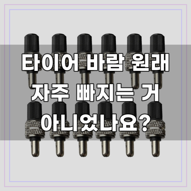 자전거 던롭 밸브 코어 무시고무 신형