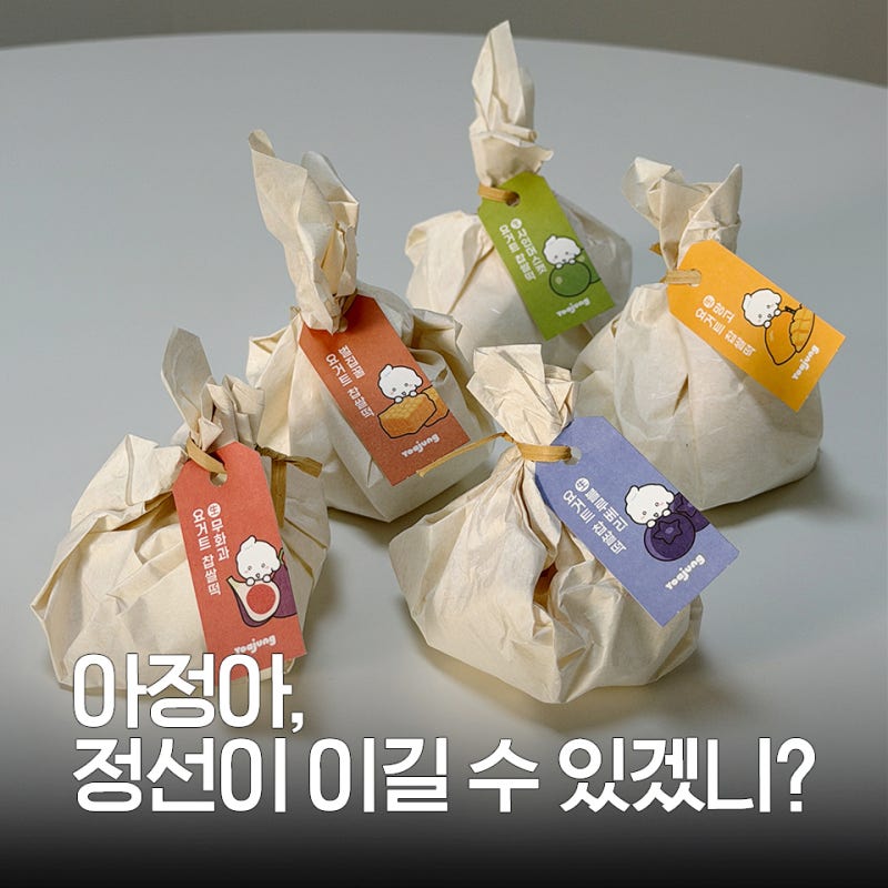 생과일 요거트 찹쌀떡 1등은 한정선?그 뒤를 넘보는 요아정 | 실제 구매 후기 종류 판매처 맛 ....