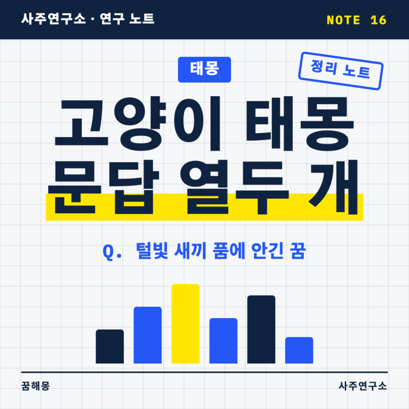 고양이 태몽 묻고 답하기, 검은 고양이 새끼 품에 안긴 꿈까지 열두 답