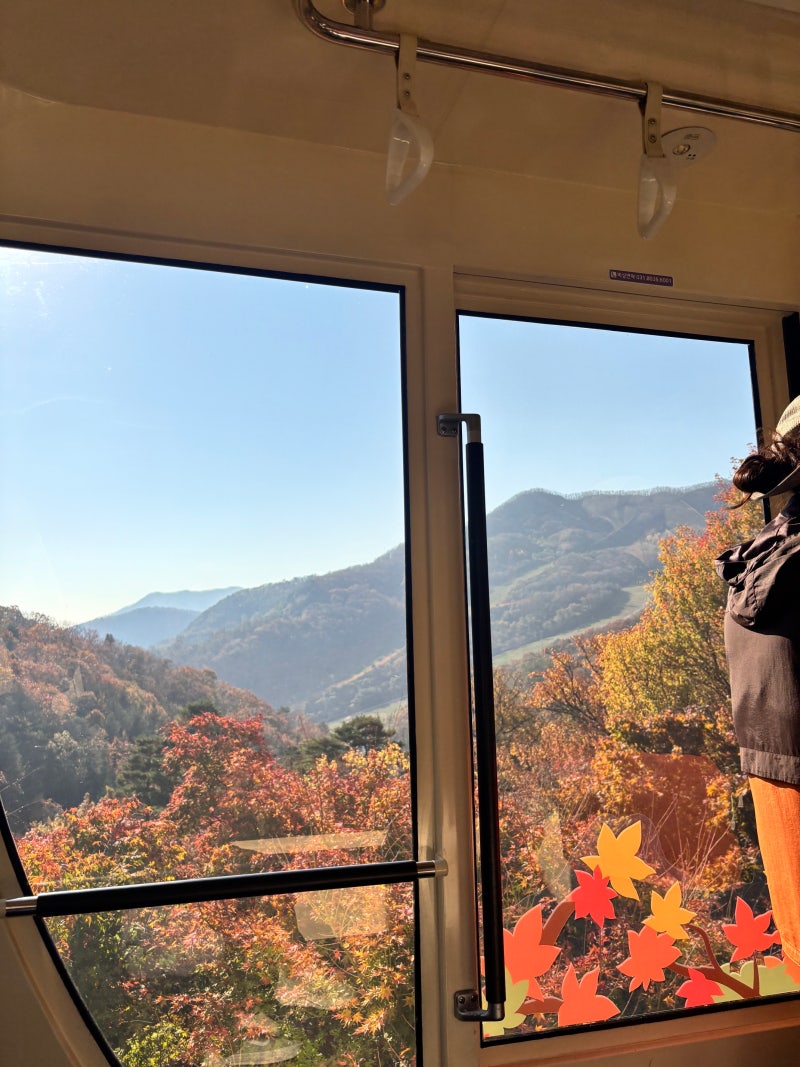 화담숲 숙소 패키지 예약 단풍여행 시기 모노레일 총정리